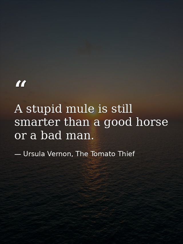 A stupid mule is still smarter than a good horse or a bad man. — Ursula Vernon, The Tomato Thief