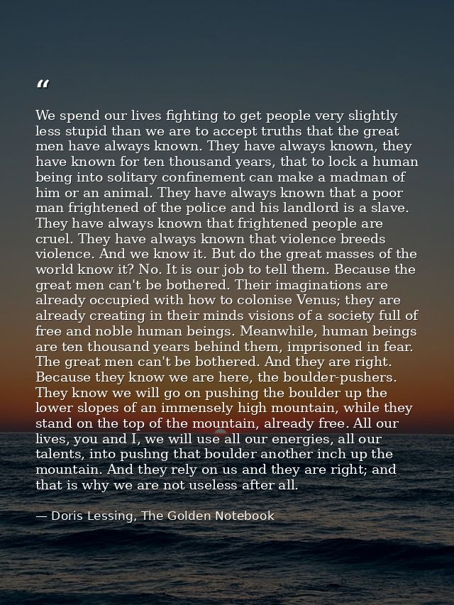 We spend our lives fighting to get people very slightly less stupid than we are to accept truths that the great men have — Doris Lessing, The Golden Notebook