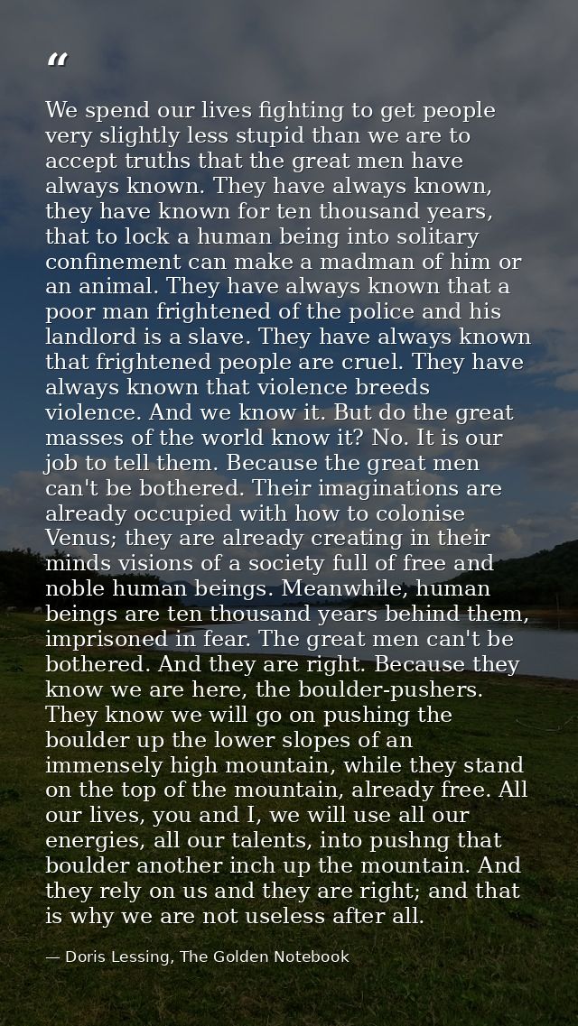 We spend our lives fighting to get people very slightly less stupid than we are to accept truths that the great men have — Doris Lessing, The Golden Notebook