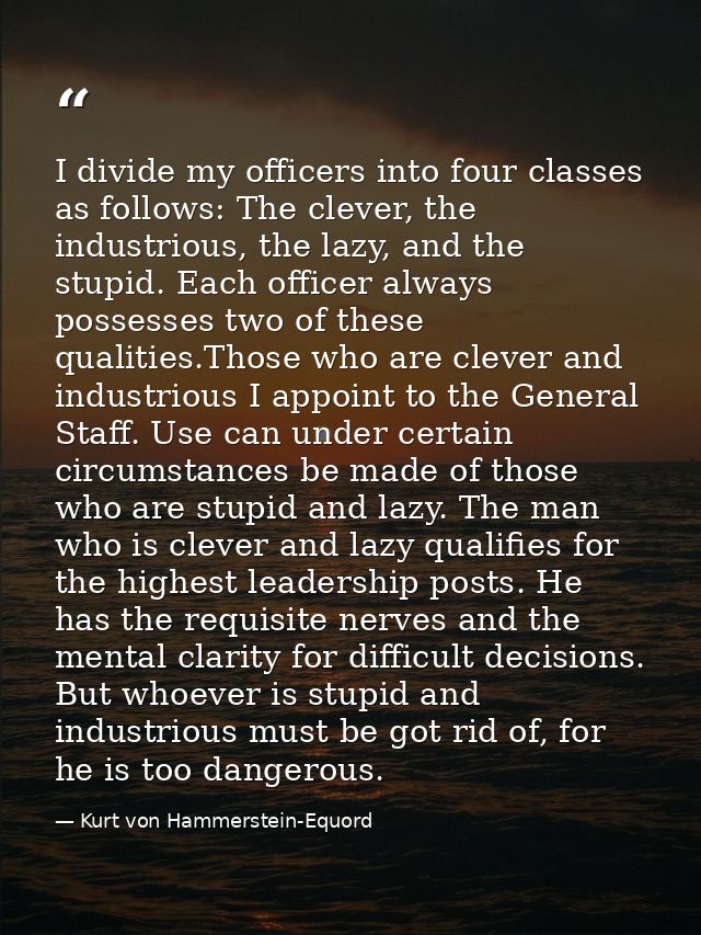 I divide my officers into four classes as follows: The clever, the industrious, the lazy, and the stupid. Each officer a — Kurt von Hammerstein-Equord