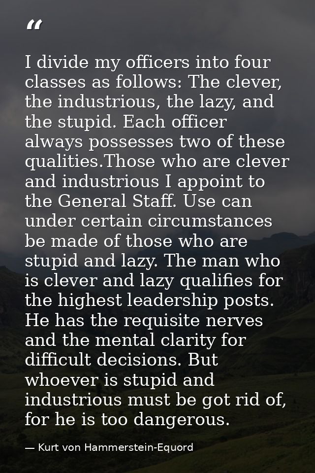I divide my officers into four classes as follows: The clever, the industrious, the lazy, and the stupid. Each officer a — Kurt von Hammerstein-Equord