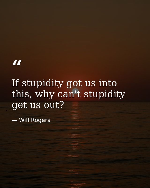 If stupidity got us into this, why can't stupidity get us out? — Will Rogers