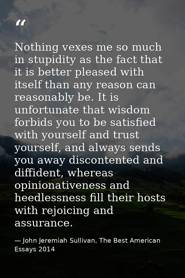 Nothing vexes me so much in stupidity as the fact that it is better pleased with itself than any reason can reasonably b — John Jeremiah Sullivan, The Best American Essays 2014