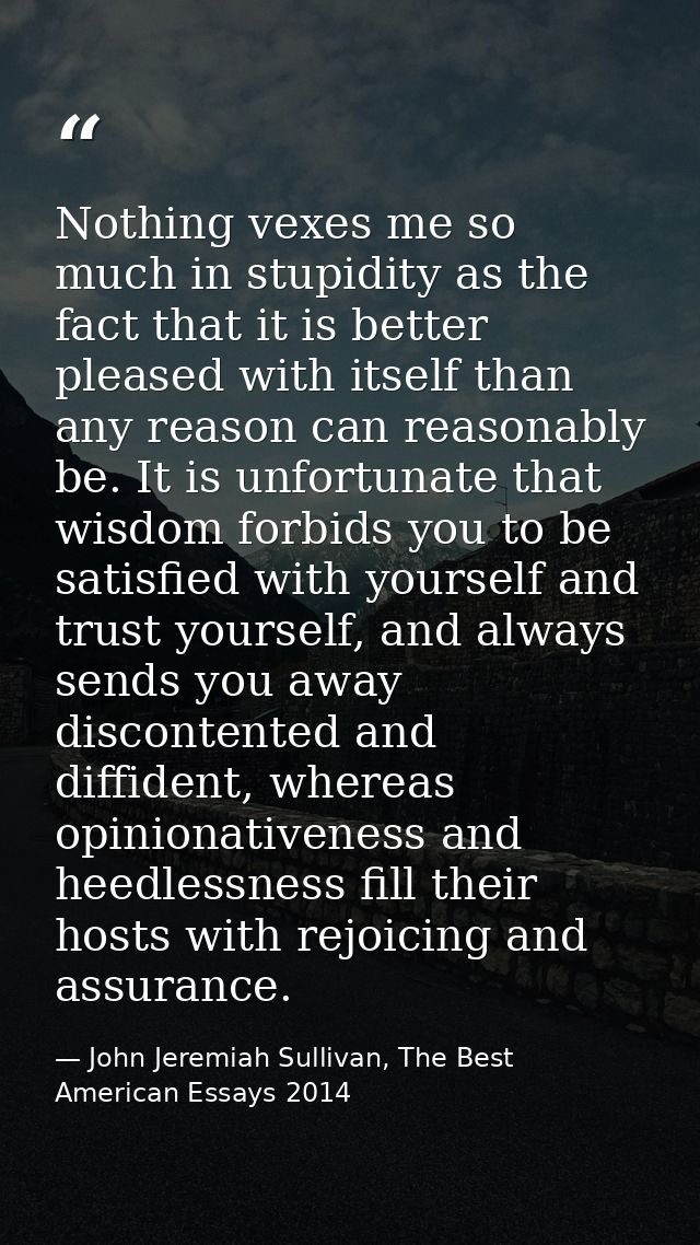 Nothing vexes me so much in stupidity as the fact that it is better pleased with itself than any reason can reasonably b — John Jeremiah Sullivan, The Best American Essays 2014