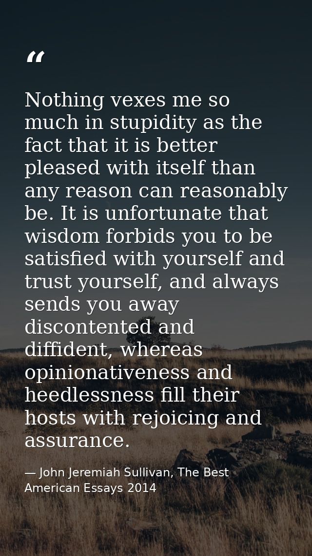 Nothing vexes me so much in stupidity as the fact that it is better pleased with itself than any reason can reasonably b — John Jeremiah Sullivan, The Best American Essays 2014