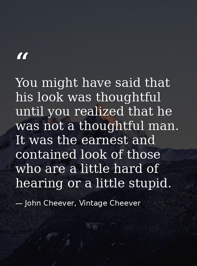 You might have said that his look was thoughtful until you realized that he was not a thoughtful man. It was the earnest — John Cheever, Vintage Cheever