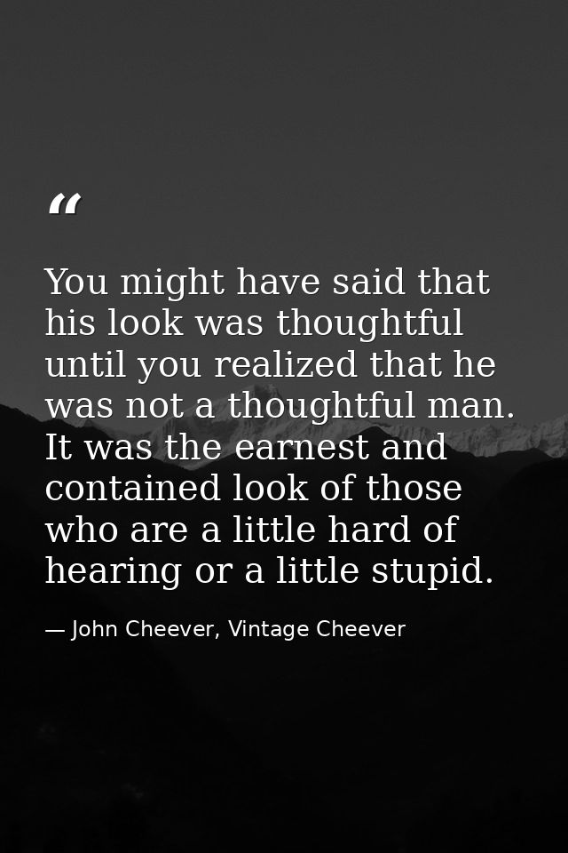 You might have said that his look was thoughtful until you realized that he was not a thoughtful man. It was the earnest — John Cheever, Vintage Cheever