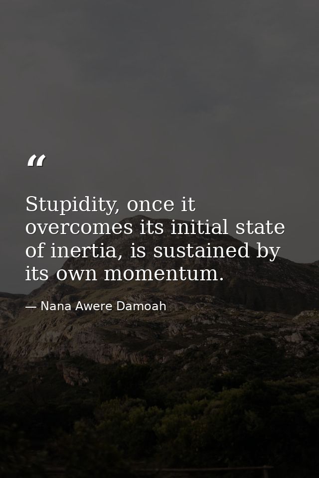 Stupidity, once it overcomes its initial state of inertia, is sustained by its own momentum. — Nana Awere Damoah