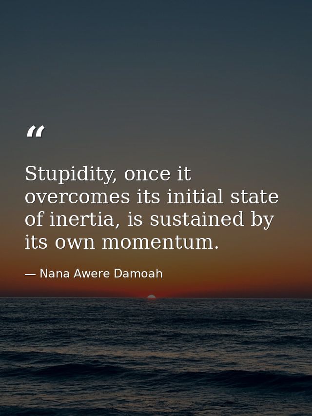 Stupidity, once it overcomes its initial state of inertia, is sustained by its own momentum. — Nana Awere Damoah