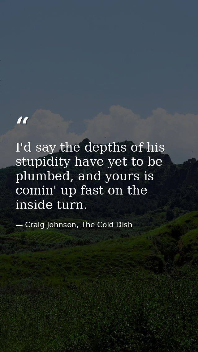 I'd say the depths of his stupidity have yet to be plumbed, and yours is comin' up fast on the inside turn. — Craig Johnson, The Cold Dish