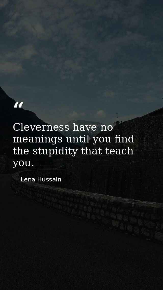 Cleverness have no meanings until you find the stupidity that teach you. — Lena Hussain