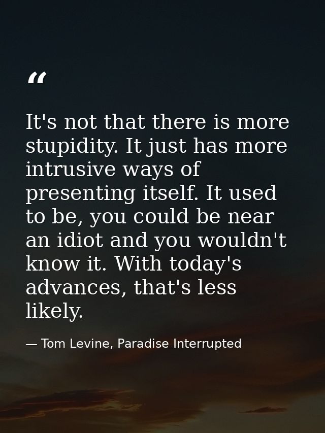 It's not that there is more stupidity. It just has more intrusive ways of presenting itself. It used to be, you could be — Tom Levine, Paradise Interrupted