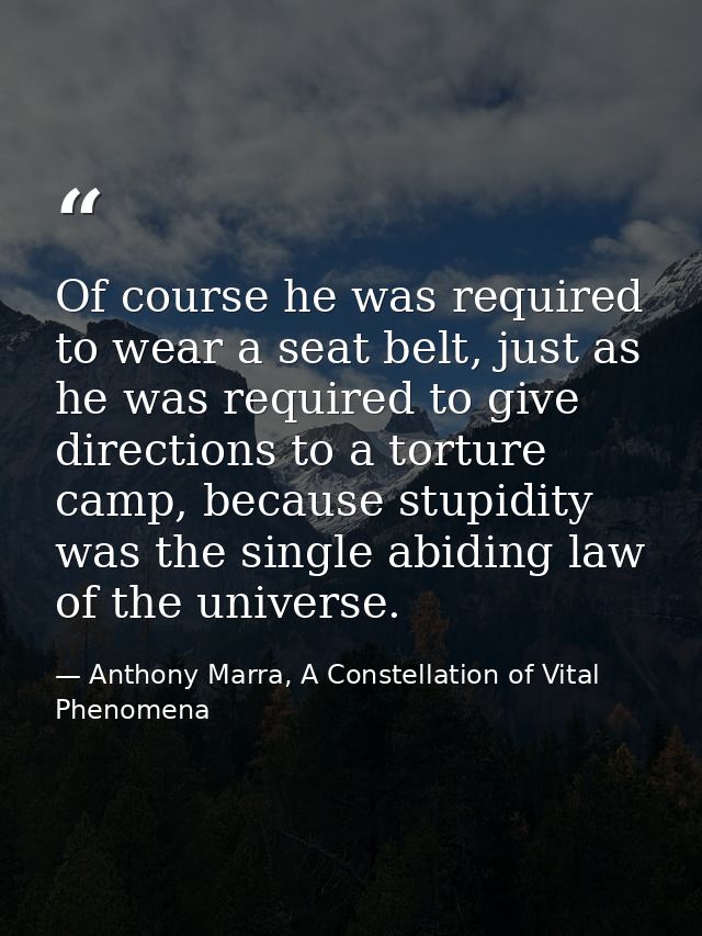 Of course he was required to wear a seat belt, just as he was required to give directions to a torture camp, because stu — Anthony Marra, A Constellation of Vital Phenomena