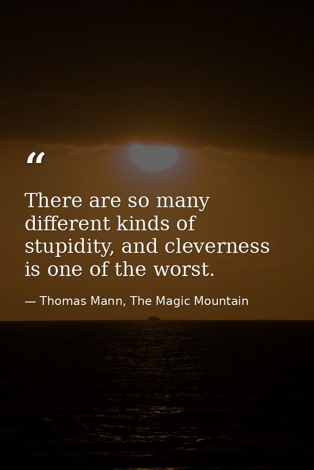 There are so many different kinds of stupidity, and cleverness is one of the worst. — Thomas Mann, The Magic Mountain