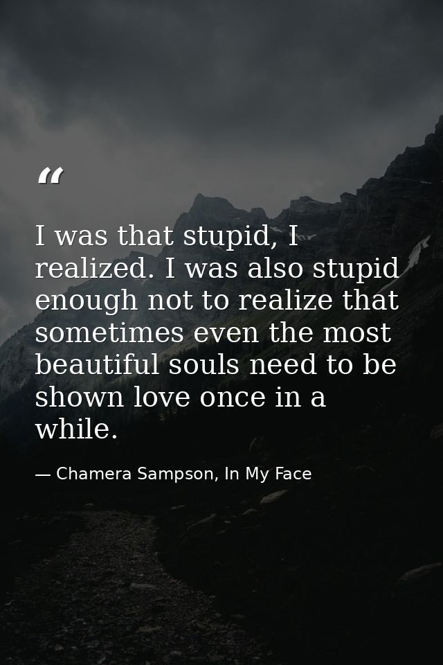 I was that stupid, I realized. I was also stupid enough not to realize that sometimes even the most beautiful souls need — Chamera Sampson, In My Face