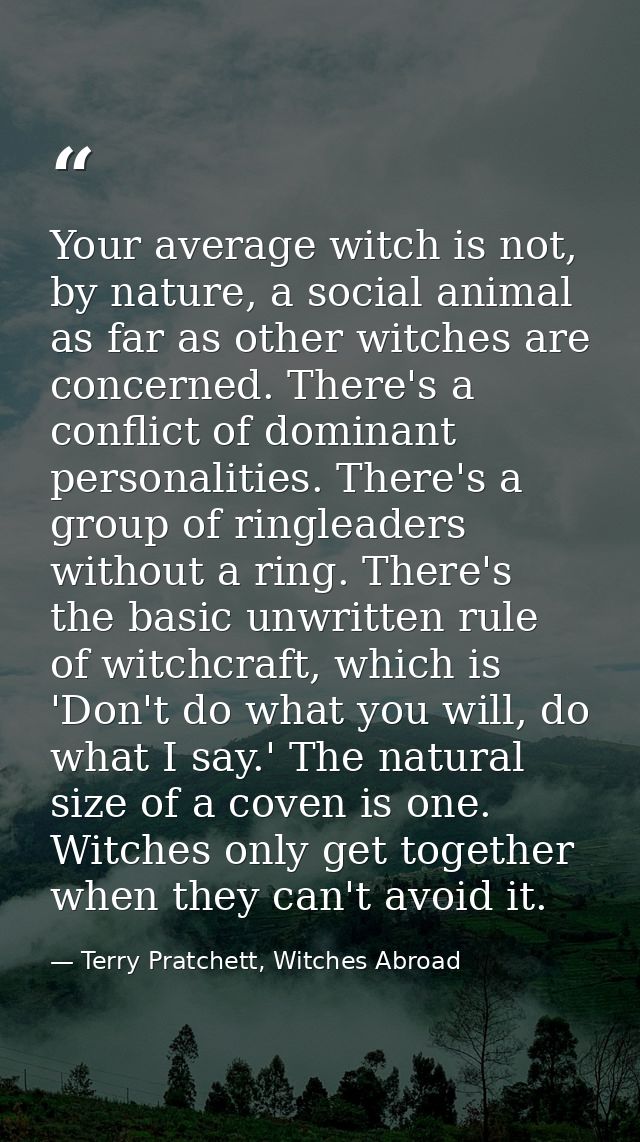 Your average witch is not, by nature, a social animal as far as other witches are concerned. There's a conflict of domin — Terry Pratchett, Witches Abroad