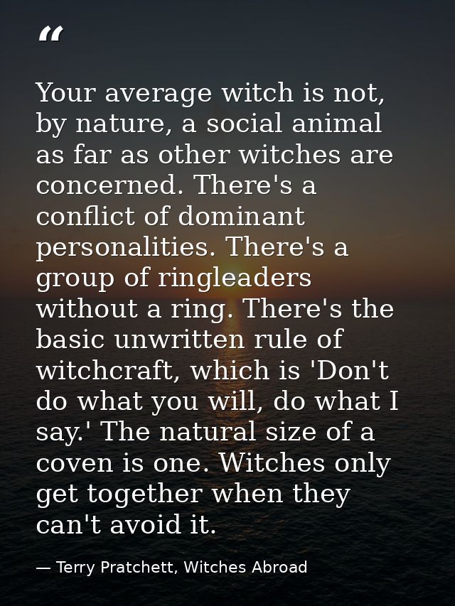 Your average witch is not, by nature, a social animal as far as other witches are concerned. There's a conflict of domin — Terry Pratchett, Witches Abroad