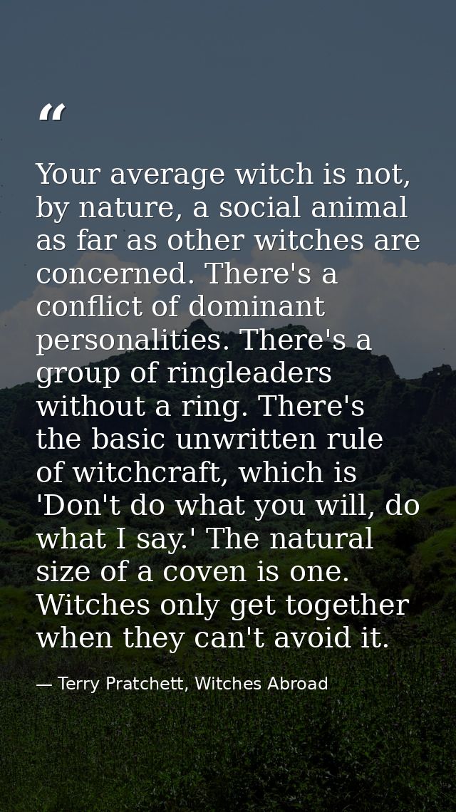 Your average witch is not, by nature, a social animal as far as other witches are concerned. There's a conflict of domin — Terry Pratchett, Witches Abroad