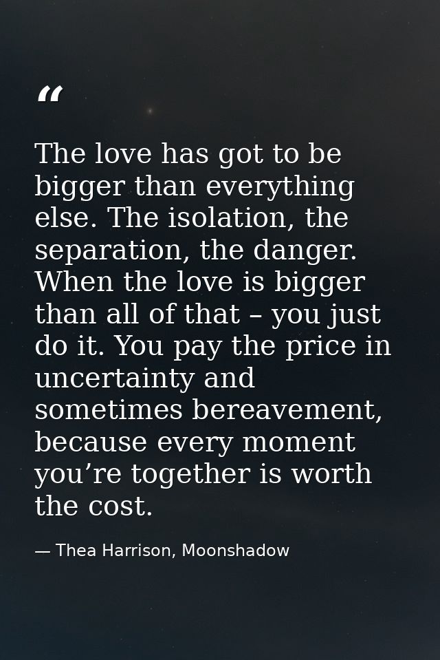The love has got to be bigger than everything else. The isolation, the separation, the danger. When the love is bigger t — Thea Harrison, Moonshadow