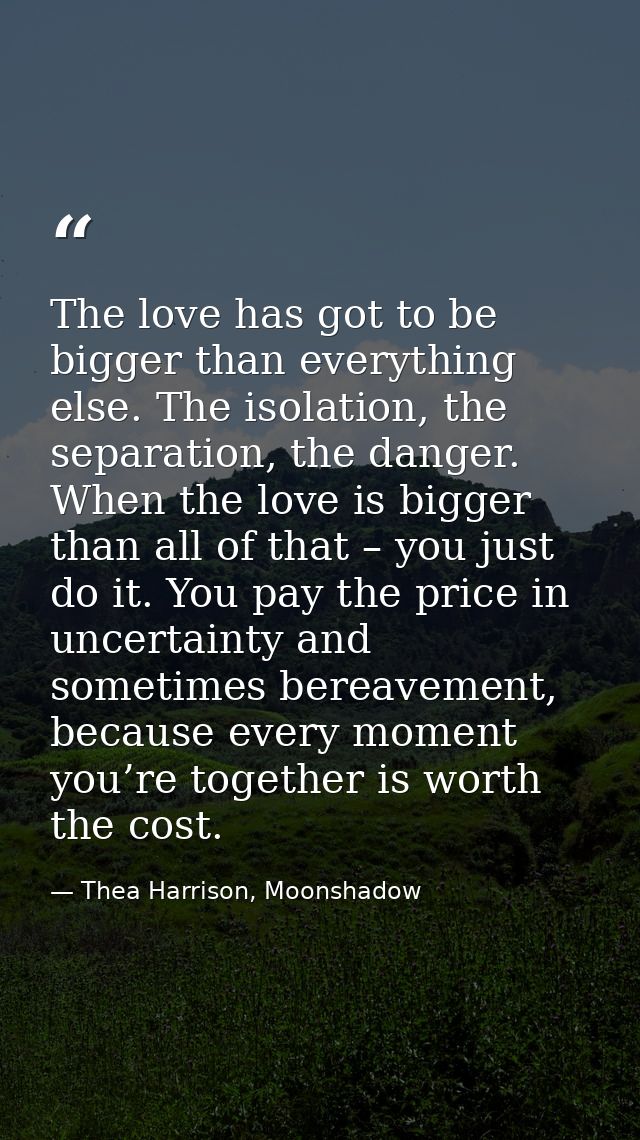 The love has got to be bigger than everything else. The isolation, the separation, the danger. When the love is bigger t — Thea Harrison, Moonshadow
