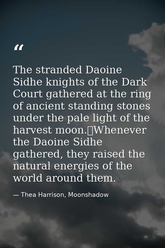 The stranded Daoine Sidhe knights of the Dark Court gathered at the ring of ancient standing stones under the pale light — Thea Harrison, Moonshadow