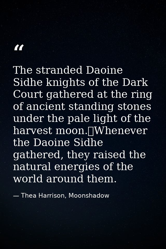 The stranded Daoine Sidhe knights of the Dark Court gathered at the ring of ancient standing stones under the pale light — Thea Harrison, Moonshadow