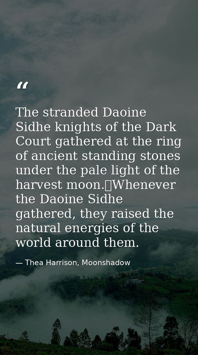 The stranded Daoine Sidhe knights of the Dark Court gathered at the ring of ancient standing stones under the pale light — Thea Harrison, Moonshadow