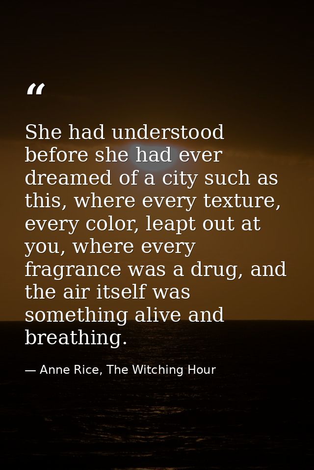 She had understood before she had ever dreamed of a city such as this, where every texture, every color, leapt out at yo — Anne Rice, The Witching Hour