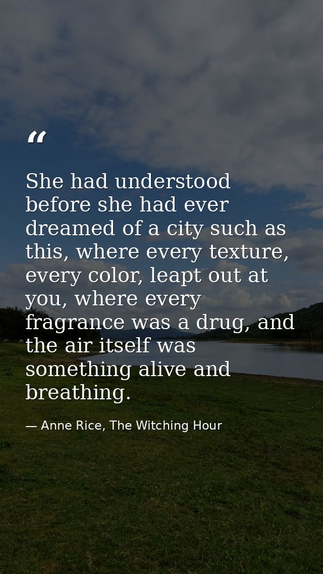 She had understood before she had ever dreamed of a city such as this, where every texture, every color, leapt out at yo — Anne Rice, The Witching Hour