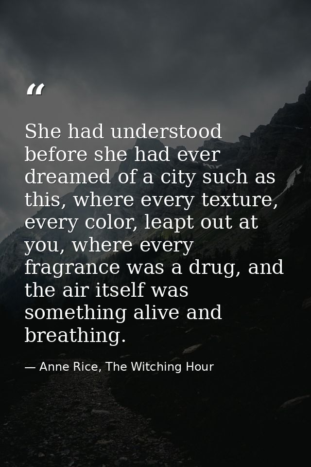 She had understood before she had ever dreamed of a city such as this, where every texture, every color, leapt out at yo — Anne Rice, The Witching Hour