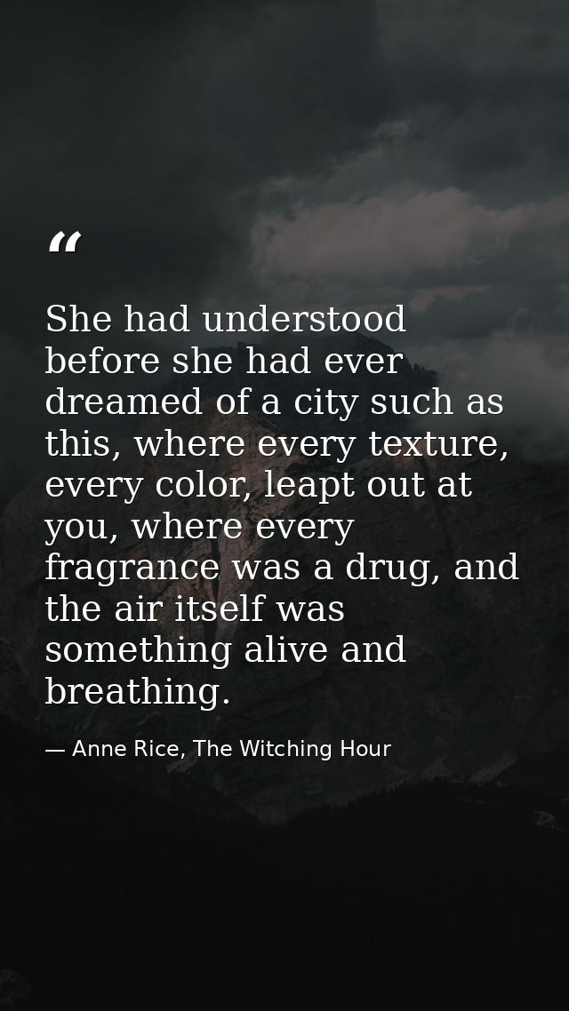 She had understood before she had ever dreamed of a city such as this, where every texture, every color, leapt out at yo — Anne Rice, The Witching Hour