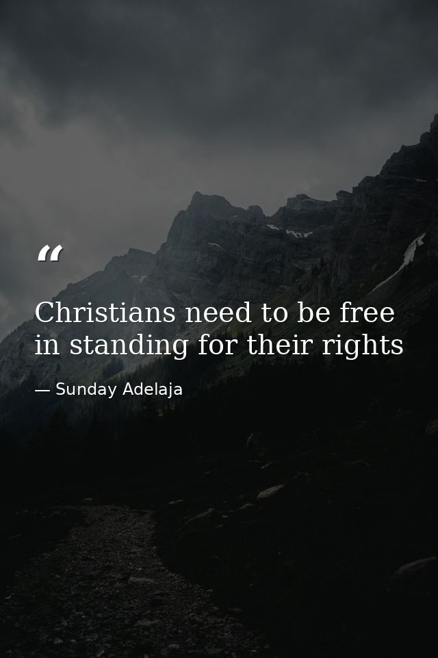 Christians need to be free in standing for their rights — Sunday Adelaja