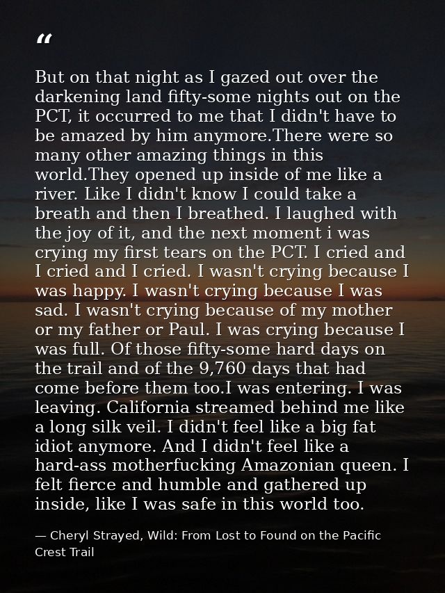 But on that night as I gazed out over the darkening land fifty-some nights out on the PCT, it occurred to me that I didn — Cheryl Strayed, Wild: From Lost to Found on the Pacific Crest Trail