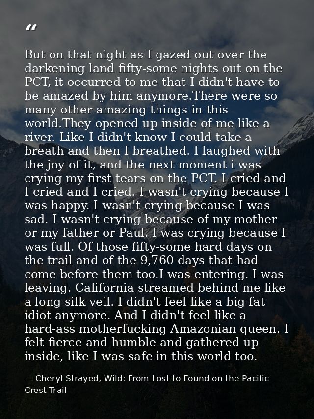 But on that night as I gazed out over the darkening land fifty-some nights out on the PCT, it occurred to me that I didn — Cheryl Strayed, Wild: From Lost to Found on the Pacific Crest Trail
