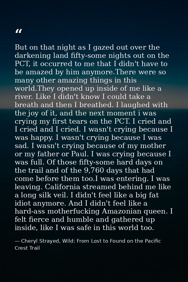 But on that night as I gazed out over the darkening land fifty-some nights out on the PCT, it occurred to me that I didn — Cheryl Strayed, Wild: From Lost to Found on the Pacific Crest Trail