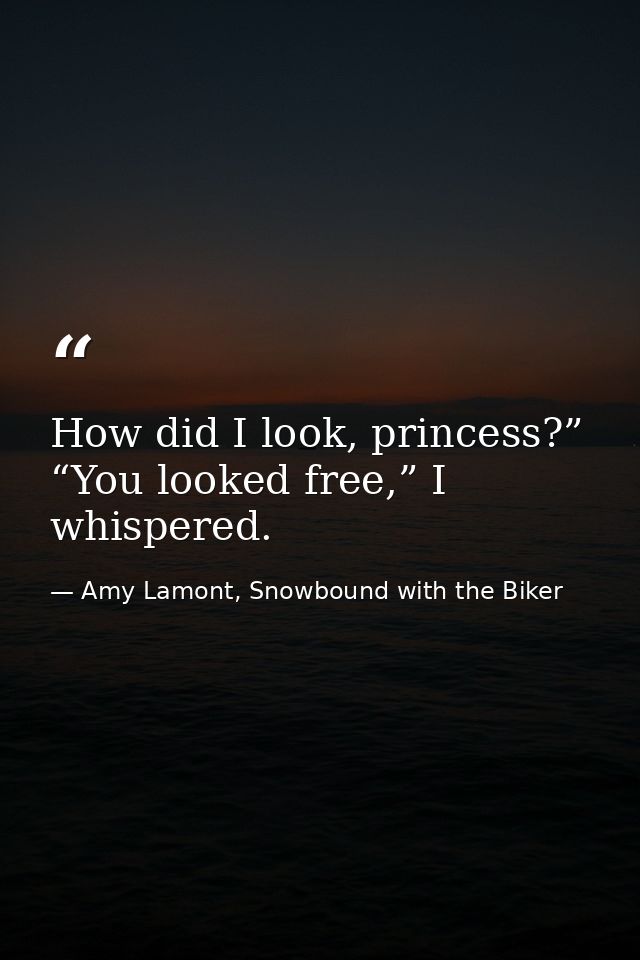 How did I look, princess?” “You looked free,” I whispered. — Amy Lamont, Snowbound with the Biker