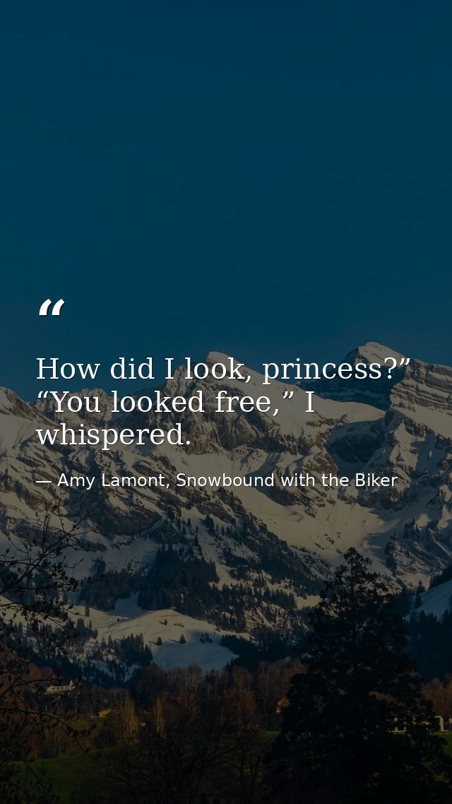 How did I look, princess?” “You looked free,” I whispered. — Amy Lamont, Snowbound with the Biker