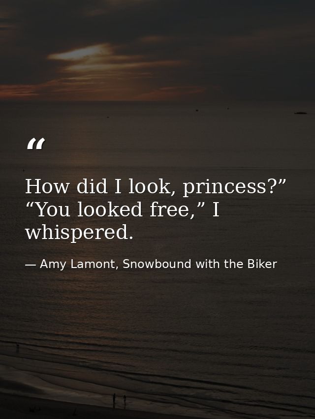 How did I look, princess?” “You looked free,” I whispered. — Amy Lamont, Snowbound with the Biker