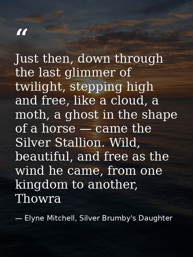 Just then, down through the last glimmer of twilight, stepping high and free, like a cloud, a moth, a ghost in the shape — Elyne Mitchell, Silver Brumby's Daughter