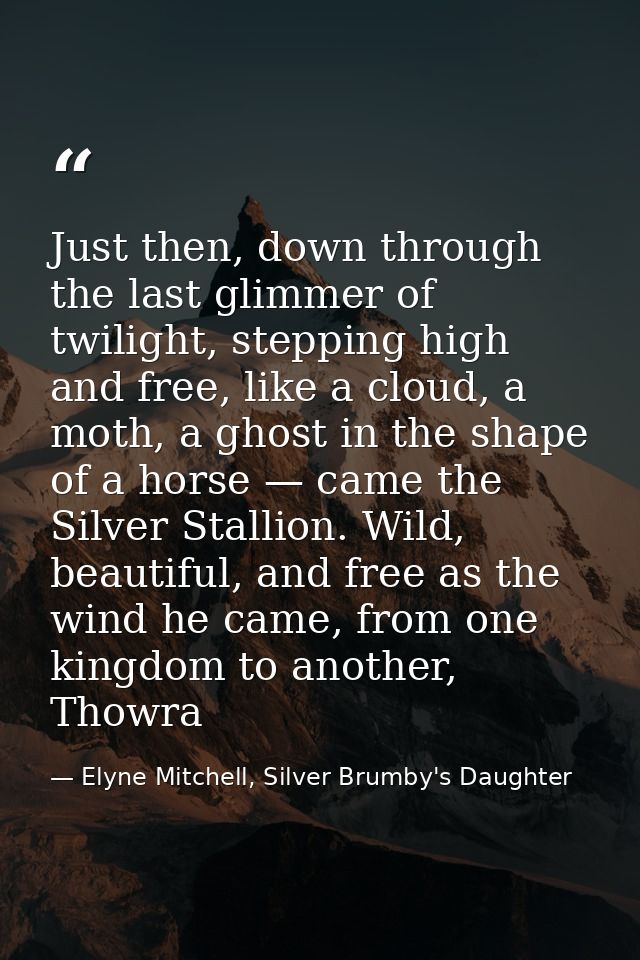 Just then, down through the last glimmer of twilight, stepping high and free, like a cloud, a moth, a ghost in the shape — Elyne Mitchell, Silver Brumby's Daughter