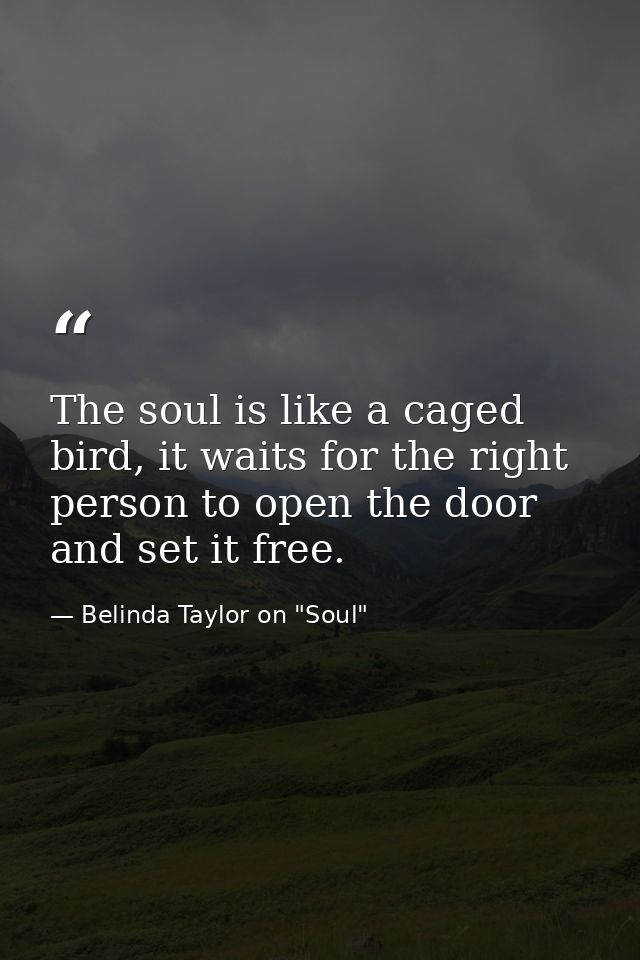 The soul is like a caged bird, it waits for the right person to open the door and set it free. — Belinda Taylor on "Soul"