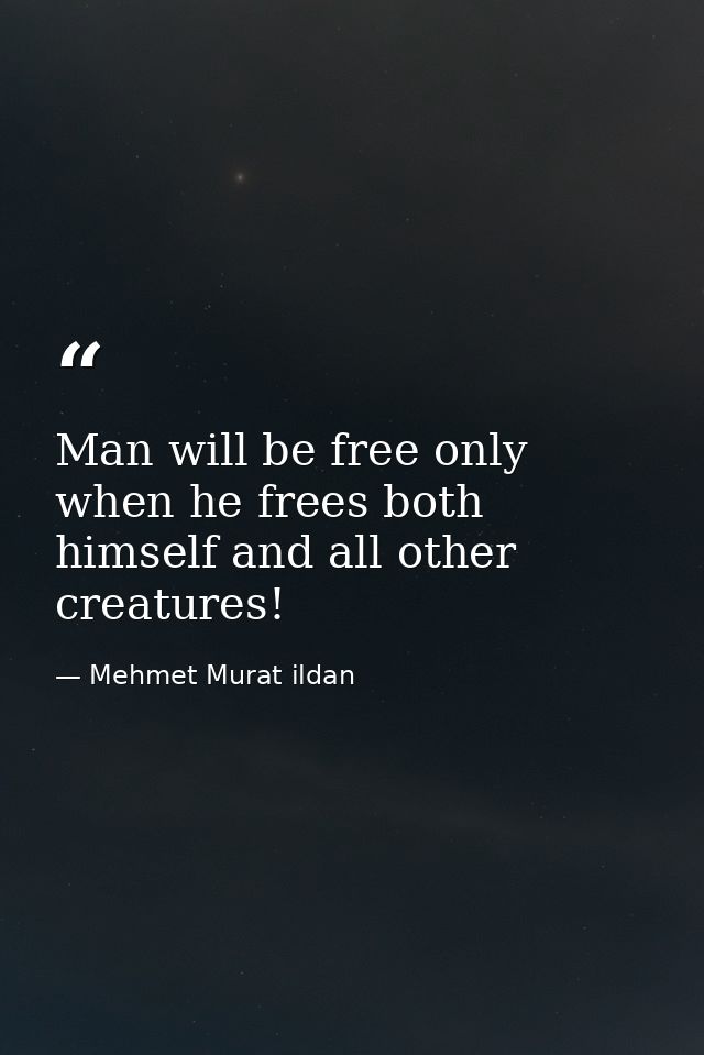Man will be free only when he frees both himself and all other creatures! — Mehmet Murat ildan