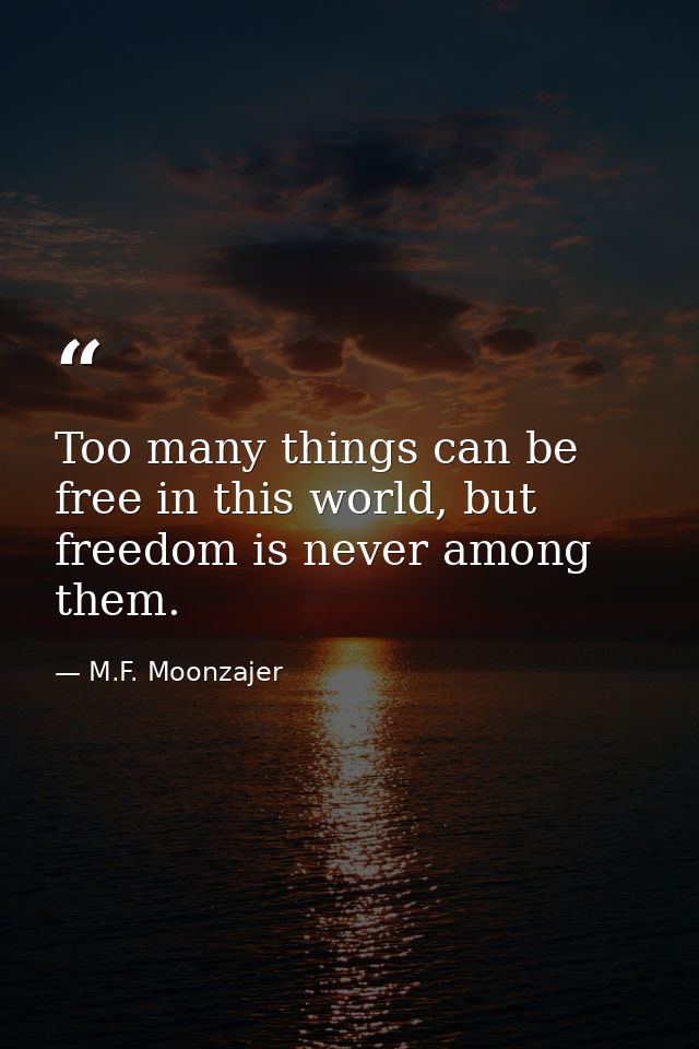 Too many things can be free in this world, but freedom is never among them. — M.F. Moonzajer