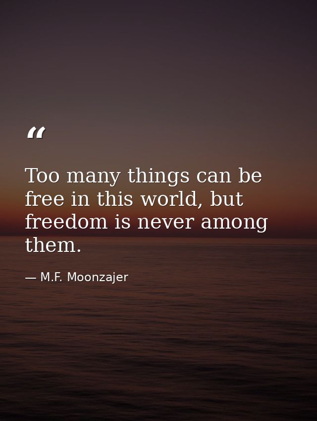 Too many things can be free in this world, but freedom is never among them. — M.F. Moonzajer
