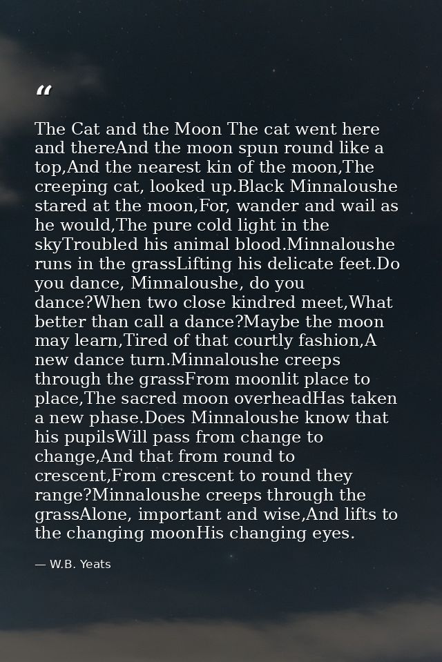 The Cat and the Moon The cat went here and thereAnd the moon spun round like a top,And the nearest kin of the moon,The c — W.B. Yeats