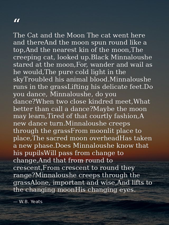 The Cat and the Moon The cat went here and thereAnd the moon spun round like a top,And the nearest kin of the moon,The c — W.B. Yeats