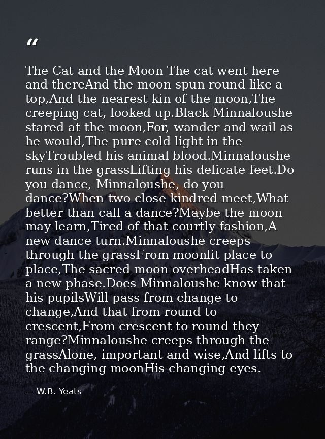 The Cat and the Moon The cat went here and thereAnd the moon spun round like a top,And the nearest kin of the moon,The c — W.B. Yeats