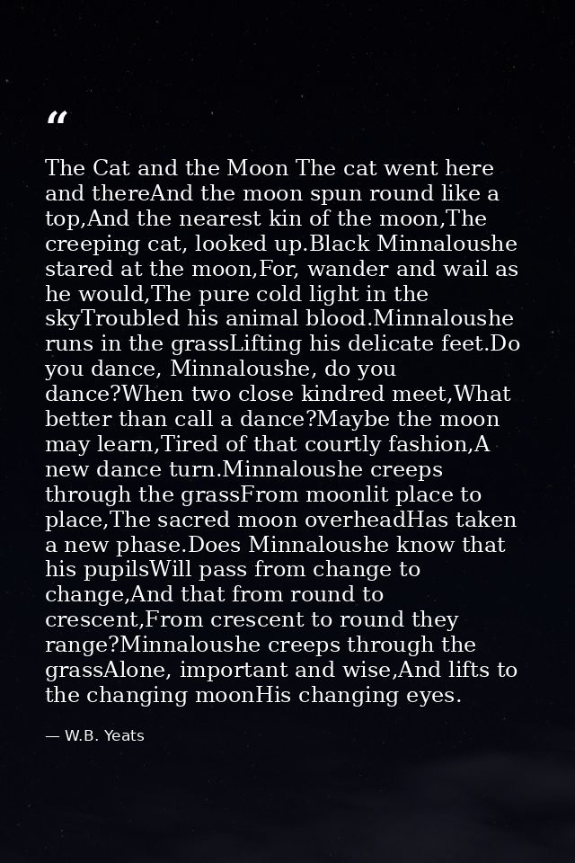 The Cat and the Moon The cat went here and thereAnd the moon spun round like a top,And the nearest kin of the moon,The c — W.B. Yeats