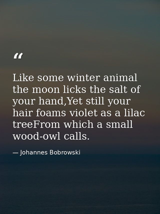 Like some winter animal the moon licks the salt of your hand,Yet still your hair foams violet as a lilac treeFrom which  — Johannes Bobrowski