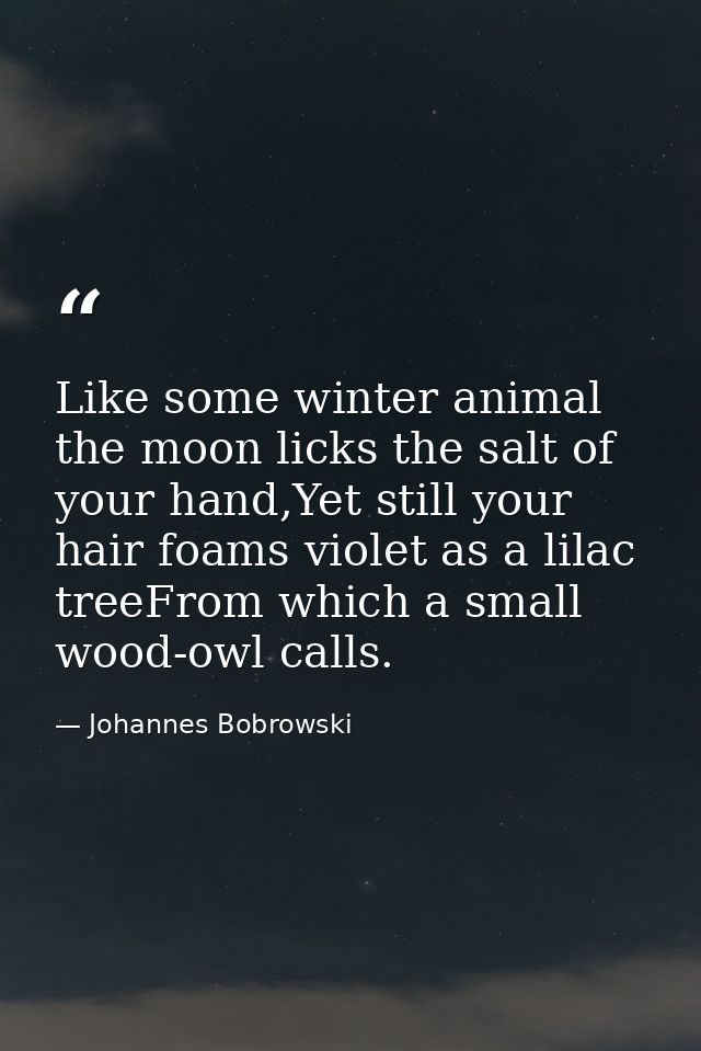 Like some winter animal the moon licks the salt of your hand,Yet still your hair foams violet as a lilac treeFrom which  — Johannes Bobrowski